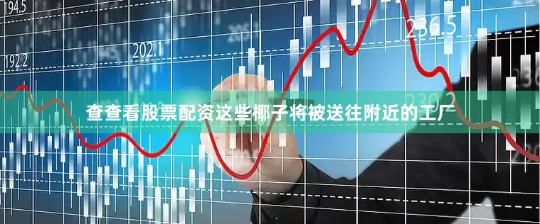 查查看股票配资这些椰子将被送往附近的工厂